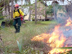 Mindy Wright, firefighter, watching the prescribed fire.