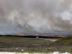 Prescribed fire in the coastal grassland prairie as viewed from visitor center observation deck.