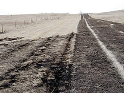 Area shows how fire (on left) was stopped at the existing black line burned in October (at right)..