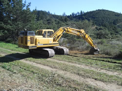  An excavator removes vegetation along the Bayview Fire Road.