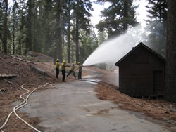 Fire crews monitor a burning stump near employee housing at the John Muir Lodge.