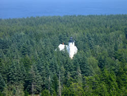 Baker Island in 2012, looking down at the lighthouse, prior to treatment, demonstrating the dense forest characteristic almost obscuring the lighthouse from view.
