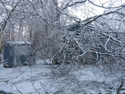 Downed trees and branches by Saratoga National Historical Park's ranger station.