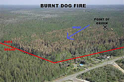 Burnt Dog Fire point of origin and direction of spread.