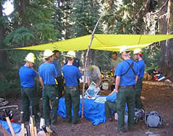 A fire crew being trained to sample fire severity