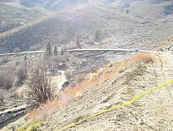 The Seven Pines project area after prescribed burning.