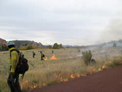 Firefighters igniting the Pine Valley Peak prescribed fire.