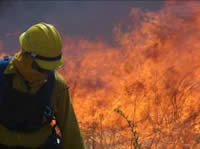 Picture of a firefighter with brush burning in the background.