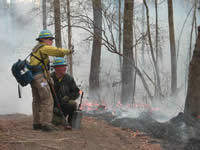 Picture of two firefighters discussing ignition tactics on the fire line.