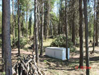 Picture of the Indian Creek Campground after fuels treatment.
