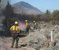 Picture of firefighting crews working on the fire control lines of the Big Nasty prescribed fire.