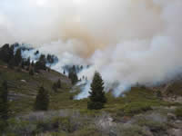 Picture of Highbridge East prescribed fire.