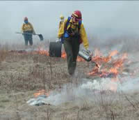 Picture of firefighter KelllyAnn Gorman lighting the prescribed fire with a drip torch, another firefighter in the background looking on.