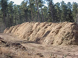 Biomass piles