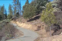 Picture of the Whiskey Creek roadway.
