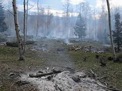 Picture of an area in the Yellowstone Canyon Fuels Reduction Project Area after the area was treated and the slash piles burned, displaying the smoking remnants of the piles.
