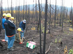 Picture of Eagle high school students and teacher taking measurements at a fire effects plot.