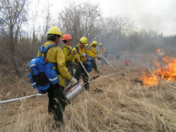 Picture of local firefighters in Alaska assisting with creating firebreaks near a village.