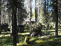 Backcountry cabin after the fuels reduction project