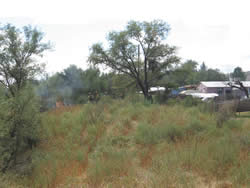 Hazard fuels near homes along the park boundary.