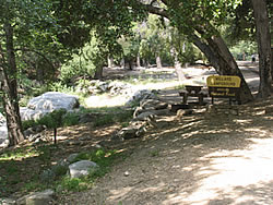 Millard Recreation Area campground site. 