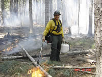 Native Maidu burning bear grass