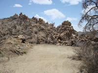 The burned structure area after debris removal, mulching, and planting.