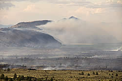 View of the active fire front from a distance.