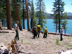 Fire crew in center wilting cheatgrass while resource personnel monitor and record results of the treatment.