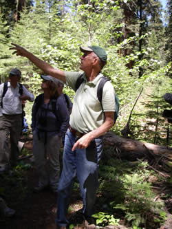 Howard Shellhammer shares his observations in Redwood Mountain Grove with Sue Husari and Tom Nichols.