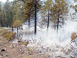 burned and smoking area