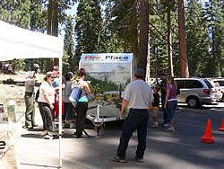 Prescribed fire under giant sequoias.