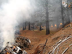 Burning hand piles