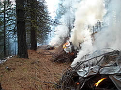 Burning hand piles