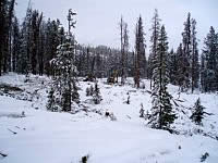 Picture of the snow-covered project area.