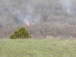 Fire burning in the brush.