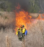 Crew members burning grass.