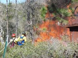 A Wildland Urban Interface prescribed burn in a subdivision.