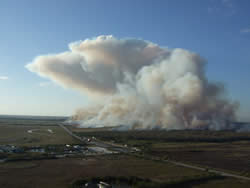 Anvil cloud forming over the Birdon 4 prescribed fire.