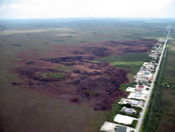 Aerial view of the fire scar from Miccosukee Wildfire.