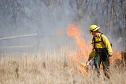 A firefighter spreads fire with a drip torch.