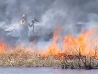A firefighter monitoring a prescribed burn.