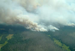 Aerial view of the Rat Creek Fire