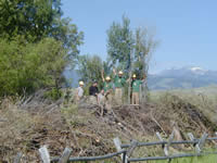 A Montana Conservation Crew stands on the massive pile of fuel.