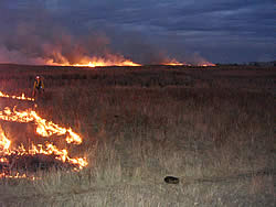 Prescribed burn of the Dakota Prairie Grasslands.