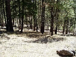 Fuel treatment area.