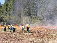 Presribed burning at Major Prairie.