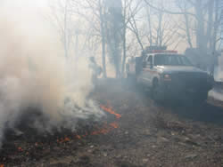 Prescribed fire burning near buildings. Firefighter and engine standing by.
