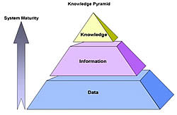 Knowledge Pyramid. Displays three layers: Data at the bottom, Information in the middle, and Knowledge at its peak. An arrow beside the pyramid indicates that System Maturity increases from the base of the pyramid to its peak.