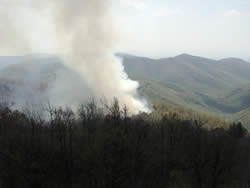 A smoke column rises out of the burn area.